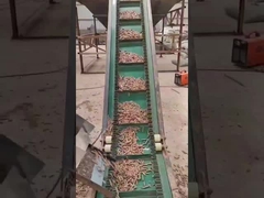 50 هرتز حلقة يموت الخشب بيليه آلة 3 المرحلة العمودي بيليه ماكينة 450-700 ملليمتر