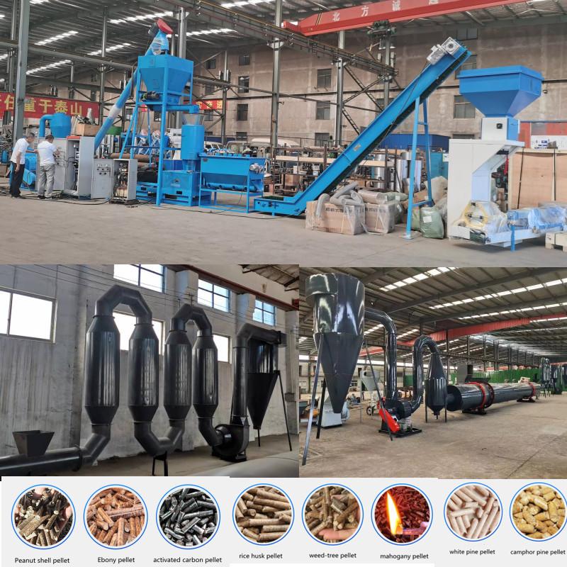 Biomass Wood Chips Pellet Line Eucalyptus Pine Birch Complete Pellet Production Line