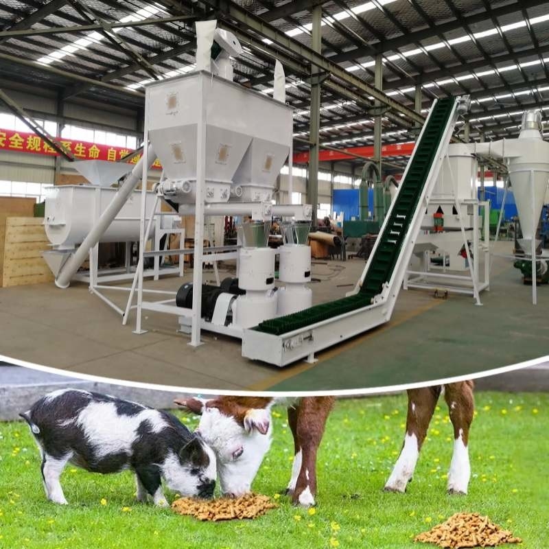 1-2T/H Feed Pellet Production Line For Chicken Cattle Rabbit Poultry Feed