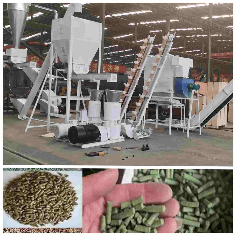 2ton/H آلة بيليه الدواجن الأوتوماتيكية 2.5 مم آلة صنع الحبيبات لتغذية الدواجن