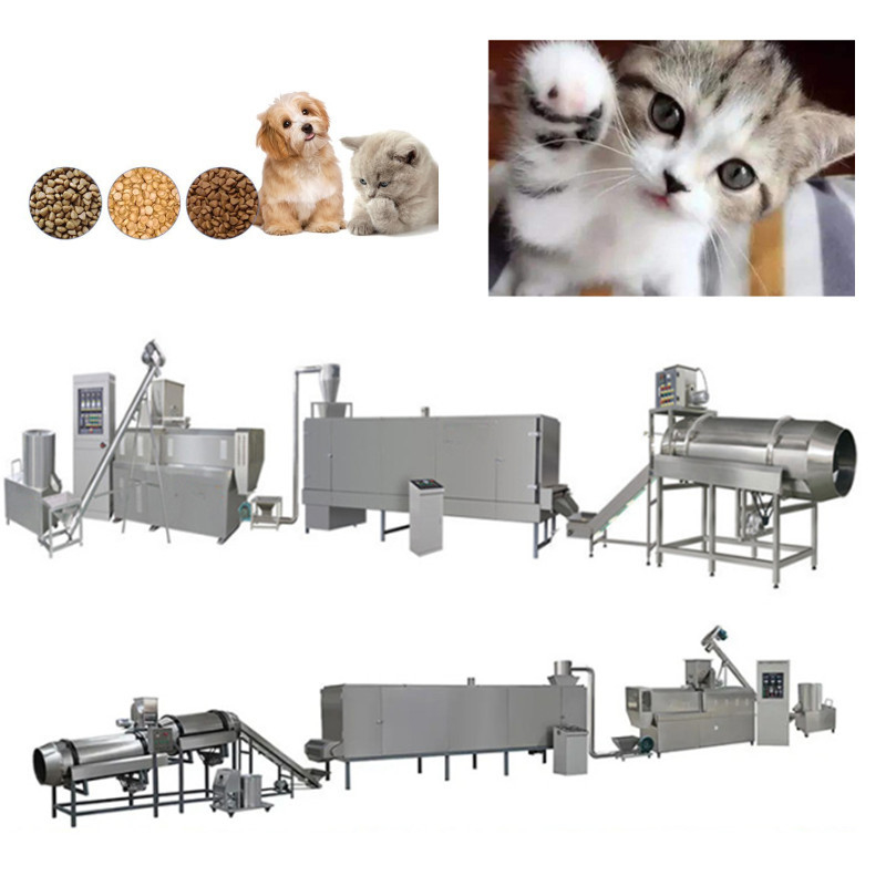 350kg/H Floating Fish Feed Production Line Pet Floating Fish Feed Pellet Machine