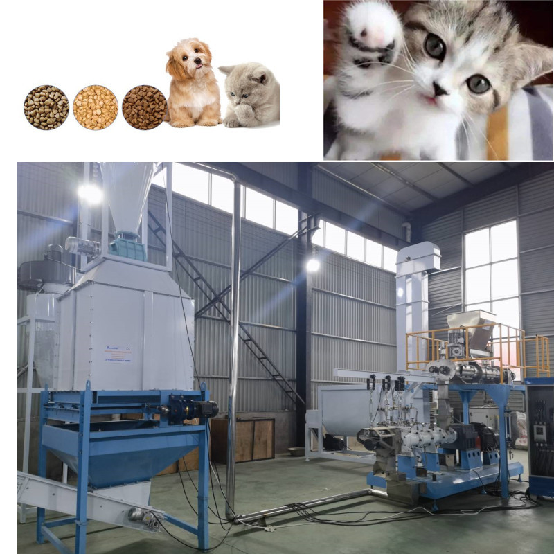 350kg/H Floating Fish Feed Production Line Pet Floating Fish Feed Pellet Machine