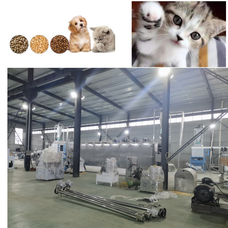 350kg/H Floating Fish Feed Production Line Pet Floating Fish Feed Pellet Machine