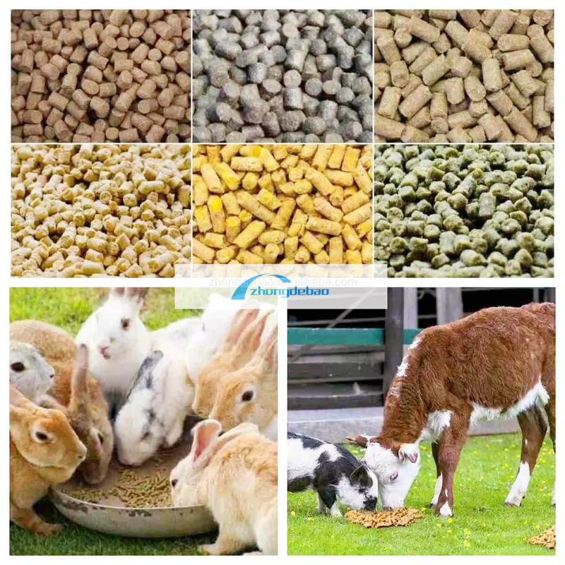 600-800 كيلوغرام/ساعة إنتاج مصنع تغذية الأسماك الحيوانات الكلاب والقطط المعدات الغذائية الحبوب المكبّرة طراز طراز طراز طراز طراز طراز طراز طراز طراز طراز طراز طراز طراز طراز طراز طراز طراز طراز طراز طراز طراز طراز طراز طراز