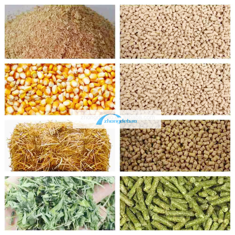600-800 كيلوغرام/ساعة إنتاج مصنع تغذية الأسماك الحيوانات الكلاب والقطط المعدات الغذائية الحبوب المكبّرة طراز طراز طراز طراز طراز طراز طراز طراز طراز طراز طراز طراز طراز طراز طراز طراز طراز طراز طراز طراز طراز طراز طراز طراز