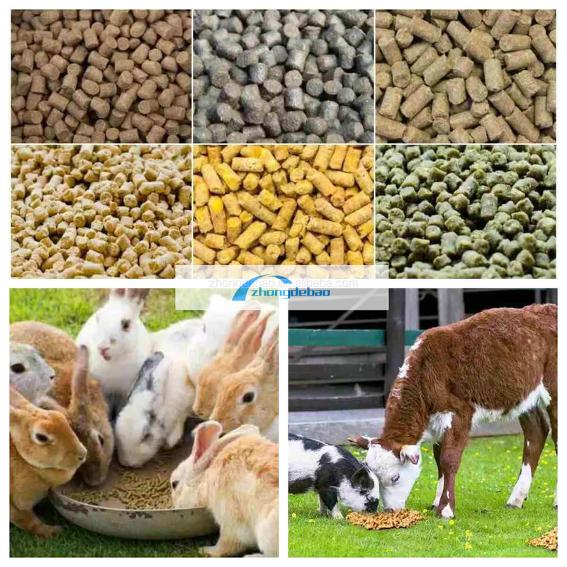 300-400 كيلوغرام/ساعة آلة الحيوانات الأليفة الغذاء الكريات مع إنتاجية عالية الديزل نوع طاحونة الكريات آلة